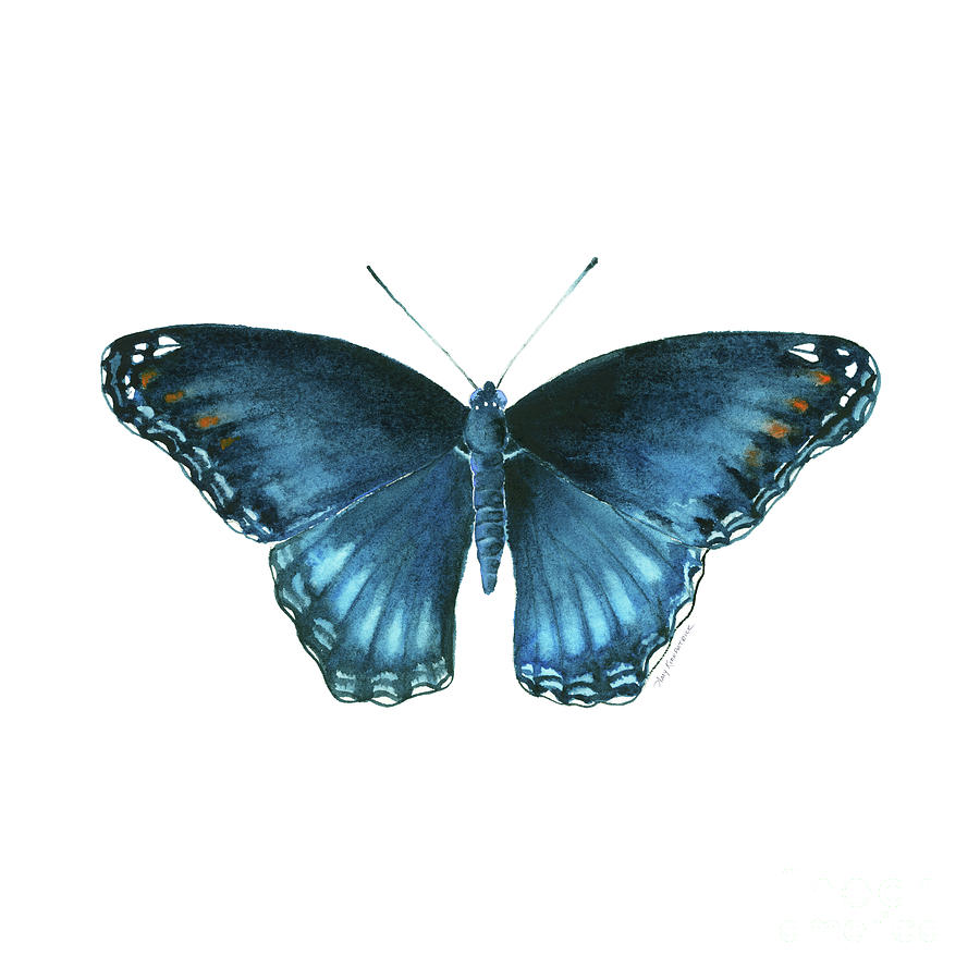 113 Brenton Blue Butterfly Painting