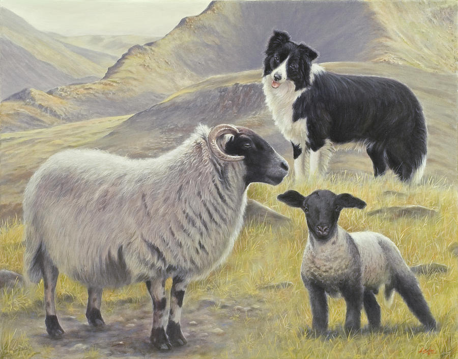 Sheep Painting - 114f by John Silver