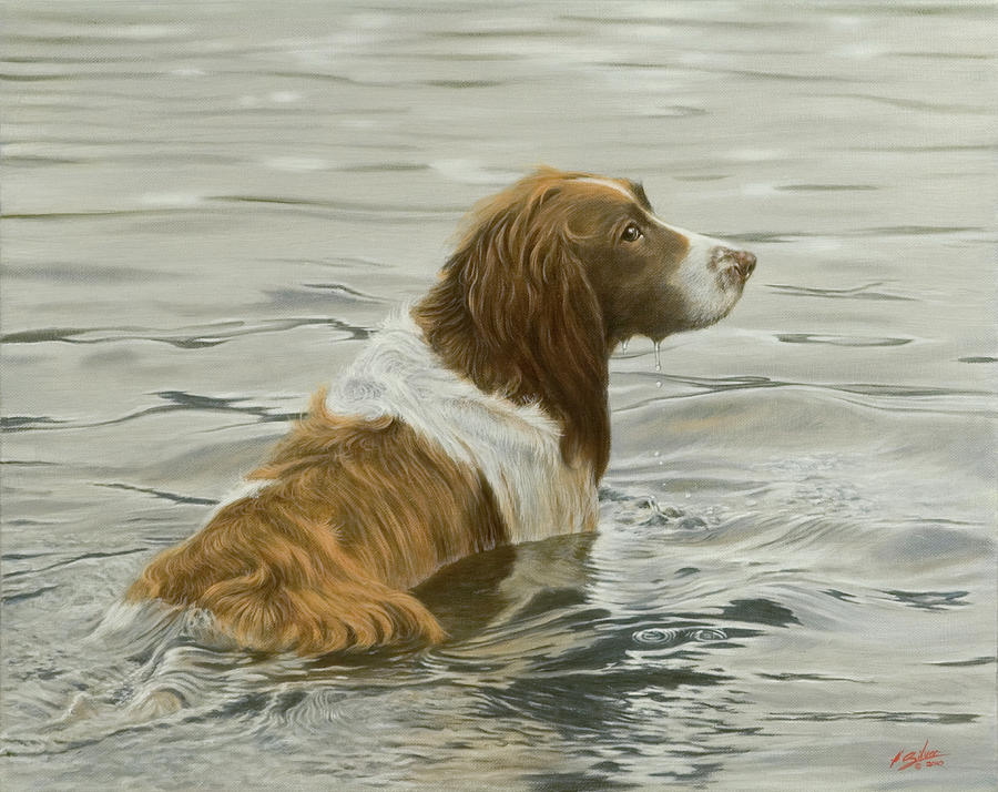 Dog In The Water Painting - 117f by John Silver