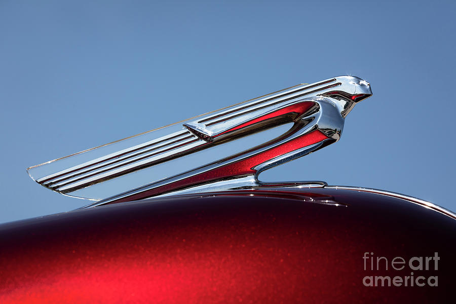 1940 Chevy Hood Ornament Photograph by Dennis Hedberg | Fine Art America