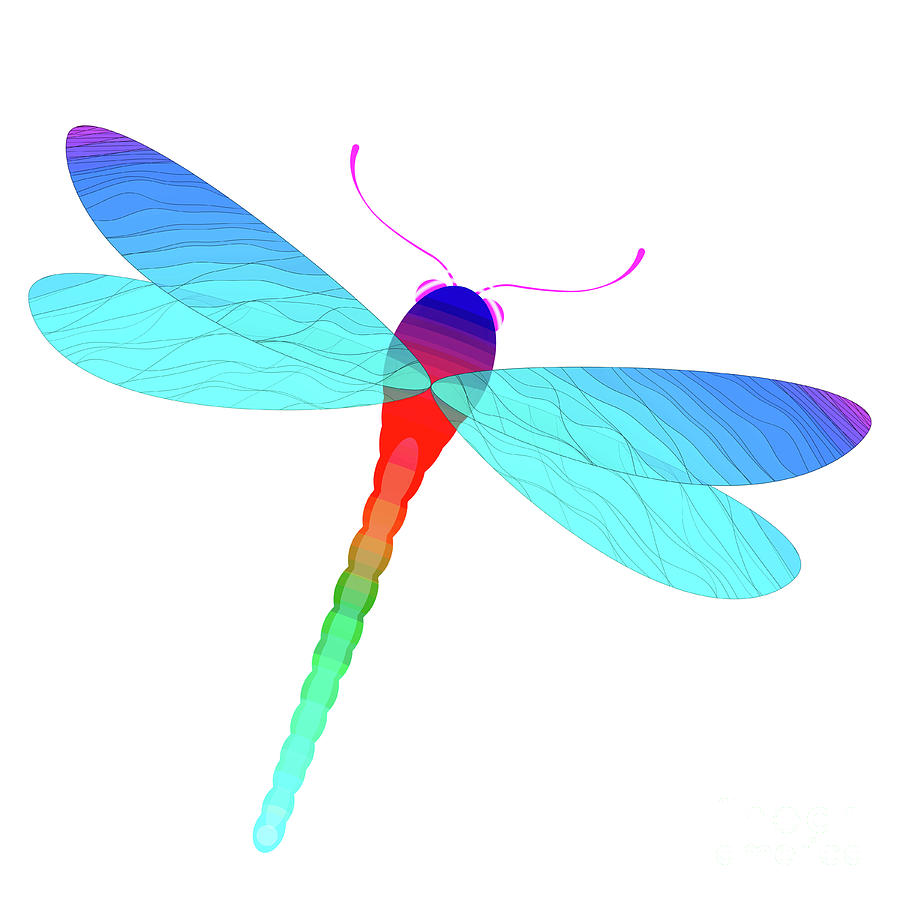 A colorful conceptual dragonfly with veined, transparent wings. Digital Art  by Gossamer Fairytales - Pixels
