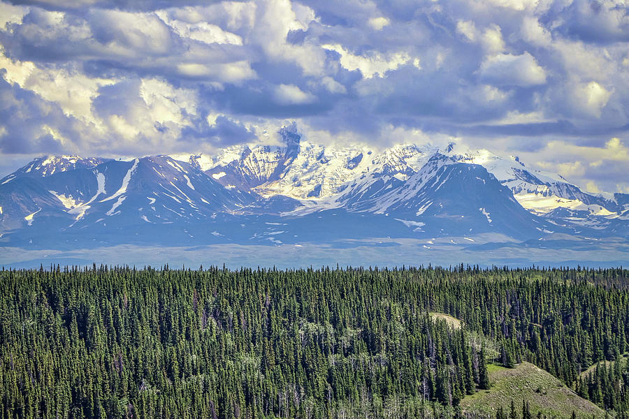 Alaska USA #12 Photograph by Paul James Bannerman