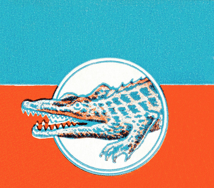 Alligator Drawing - Alligator #12 by CSA Images