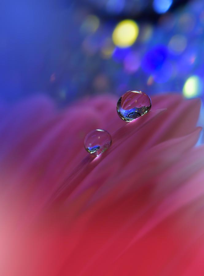 Beautiful Nature Background.floral Art Photograph by Juliana Nan - Fine ...