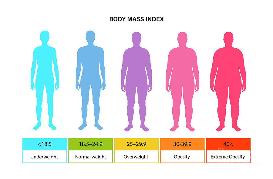 Body Mass Index Photograph by Pikovit / Science Photo Library - Fine ...