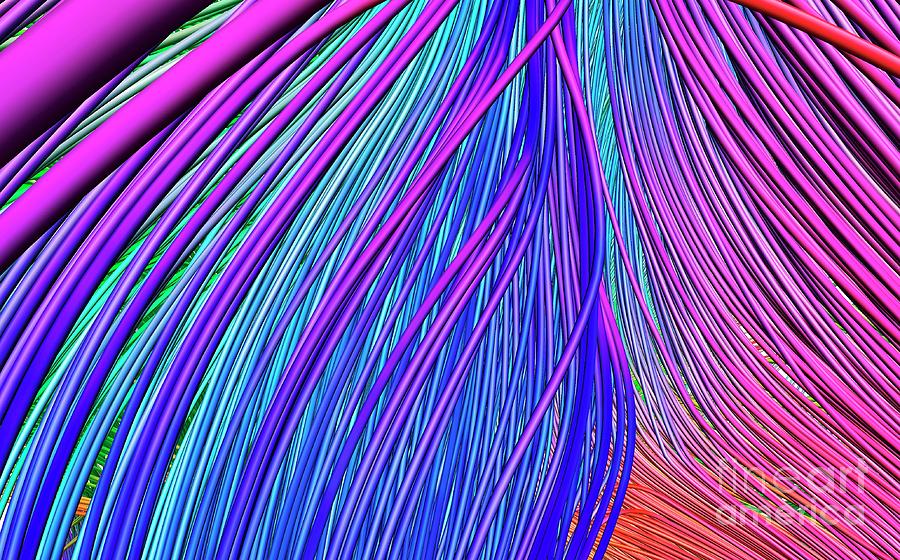 Biological Photograph - Brain Fibres 12 by Do Tromp/science Photo Library Biological Photograph - Brain Fibres 12 by Do Tromp/science Photo Library