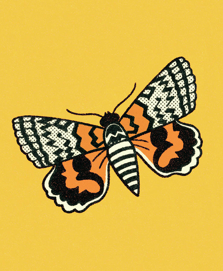 Butterfly Drawing - Butterfly #12 by CSA Images