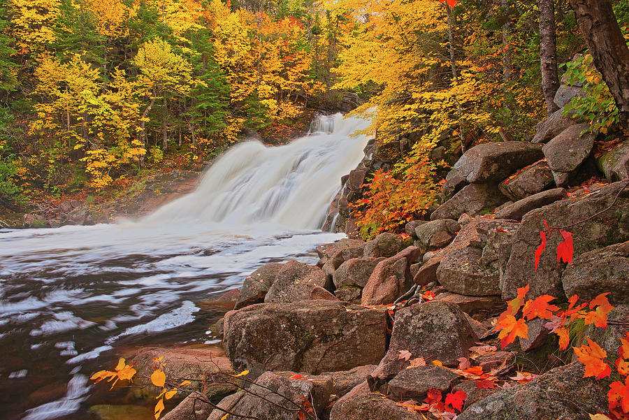 Fall Photograph - Canada, Nova Scotia #12 by Jaynes Gallery