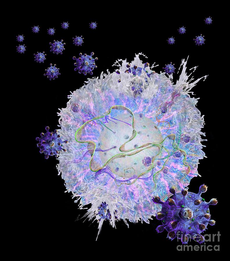 Car T Cell Immunotherapy Photograph By Keith Chambersscience Photo Library Fine Art America