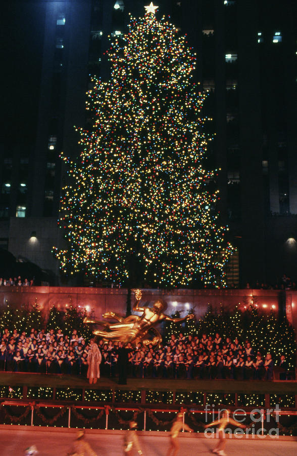 Christmas Tree At Rockefeller Center #12 Photograph by Bettmann