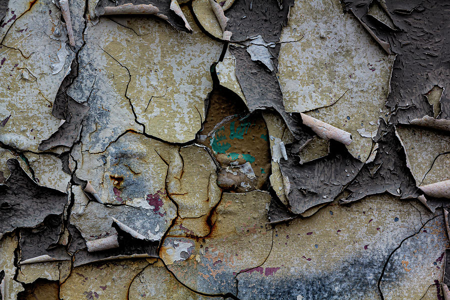 Cracked and Peeling Paint #12 Photograph by Robert Ullmann