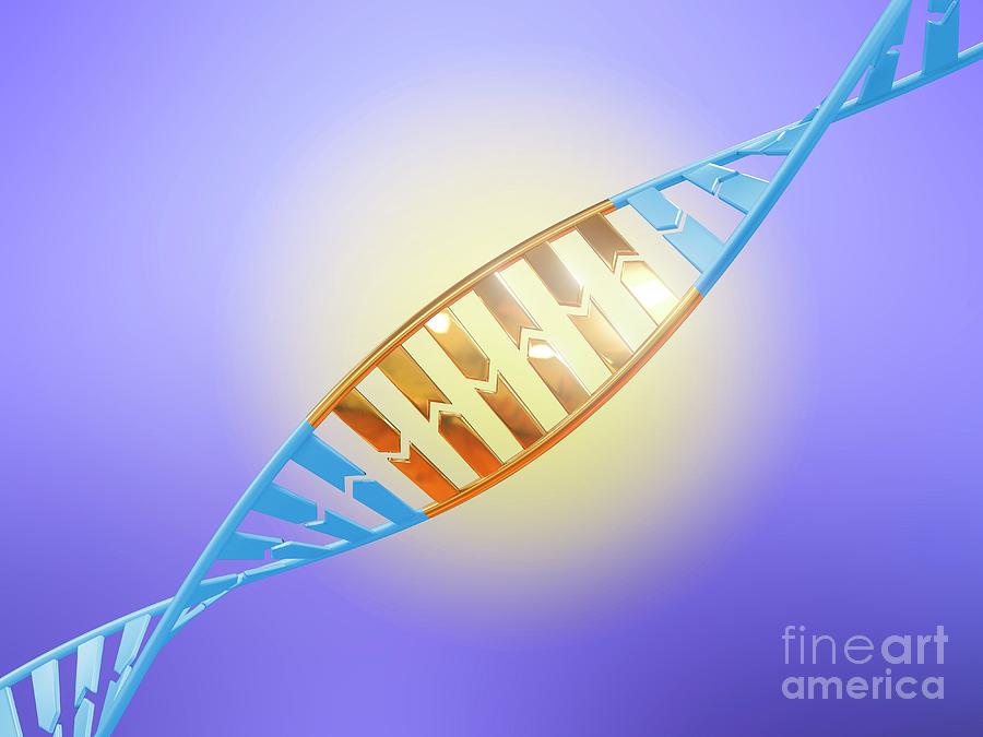 Dna Editing #12 Photograph by Maurizio De Angelis/science Photo Library