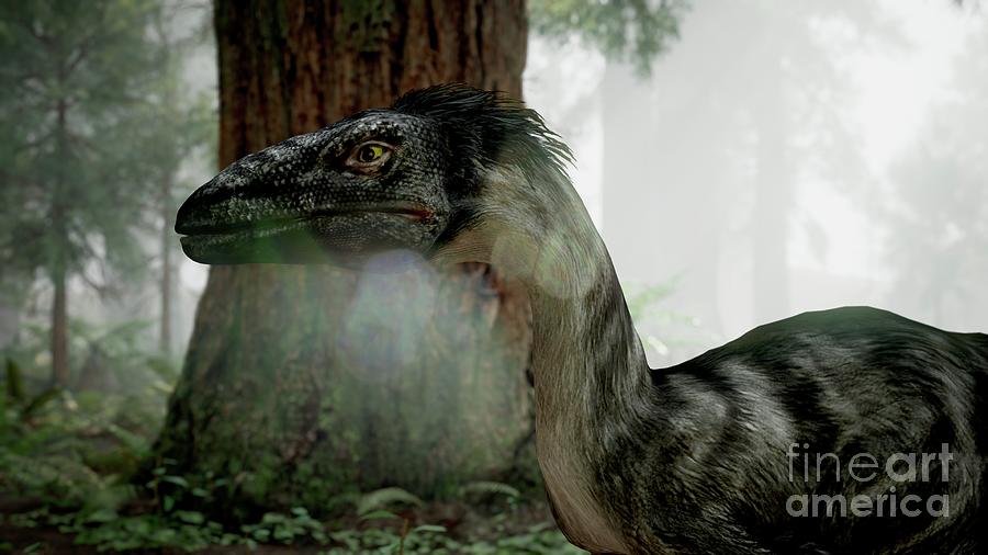 Dromaeosaurus Dinosaur #12 Photograph by Richard Jones/science Photo Library