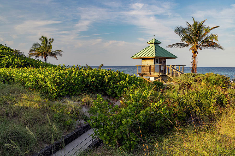 Florida, Boca Raton, Lifeguard Tower & Palm Tree On The Beach #12 Digital Art by Laura Diez