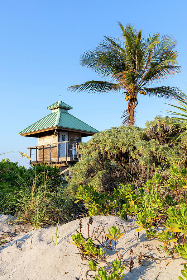 Florida, Boca Raton, Lifeguard Tower With Palm Tree At The Beach #12 Digital Art by Laura Diez