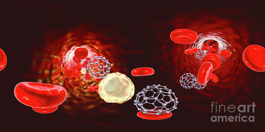 Fullerene Nanoparticles In Blood #12 Photograph by Kateryna Kon/science Photo Library