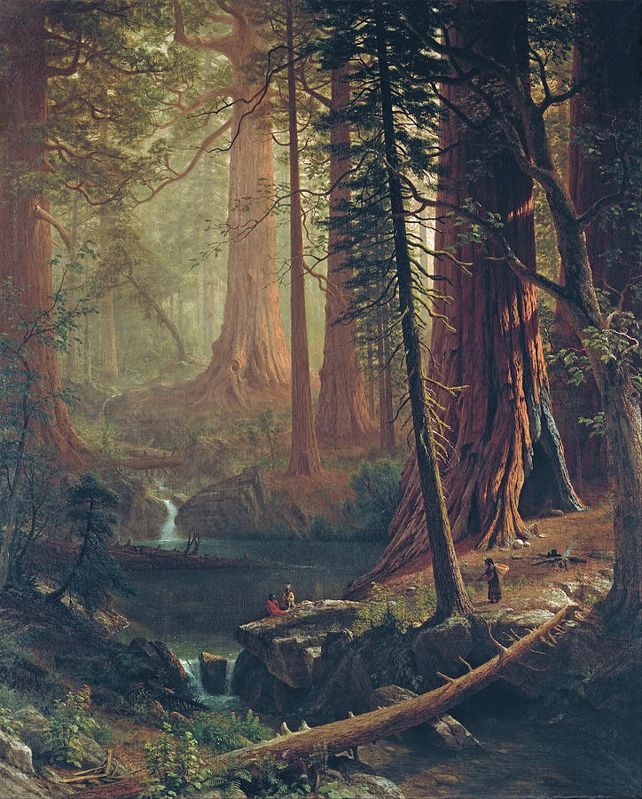 Giant Redwood Trees of California #12 Painting by Albert Bierstadt