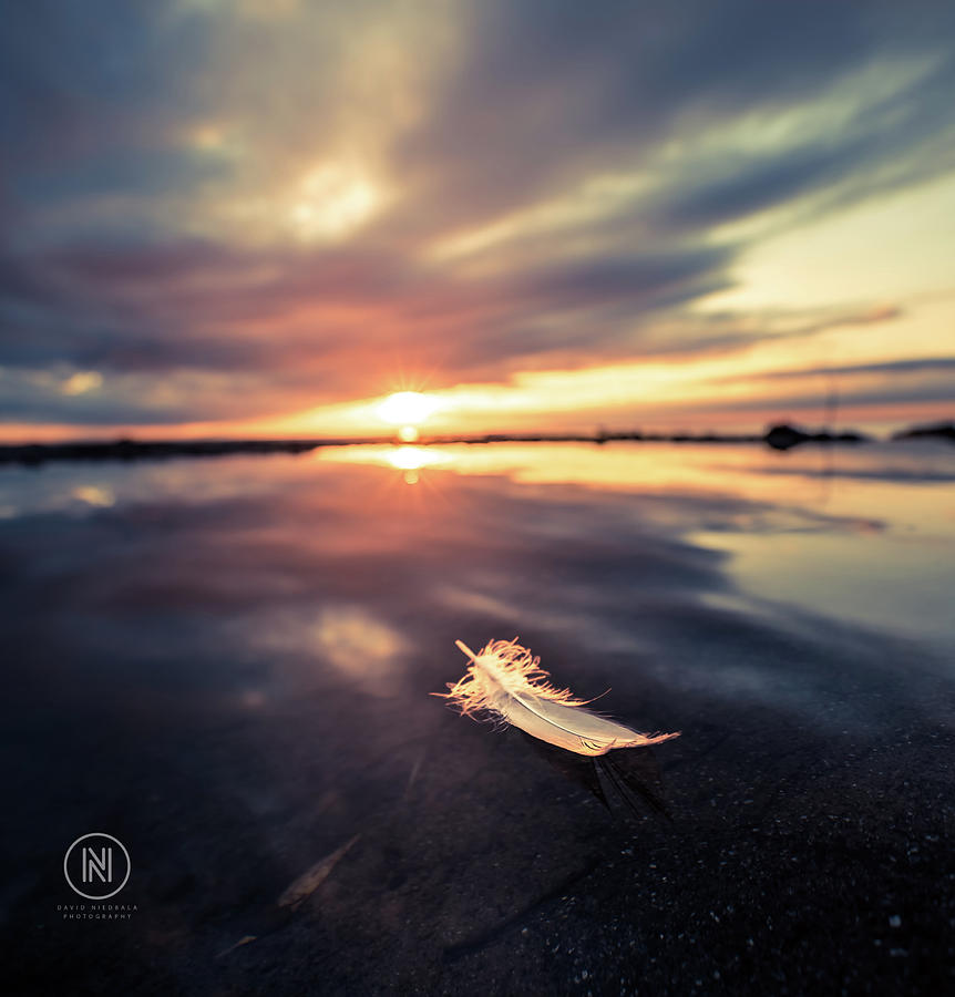 Lake Erie Sunset #12 Photograph by Dave Niedbala