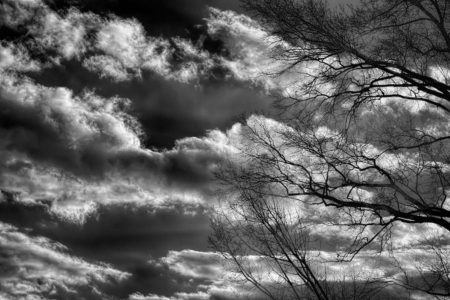 Late Afternoon Clouds Sky and Trees #12 Photograph by Robert Ullmann