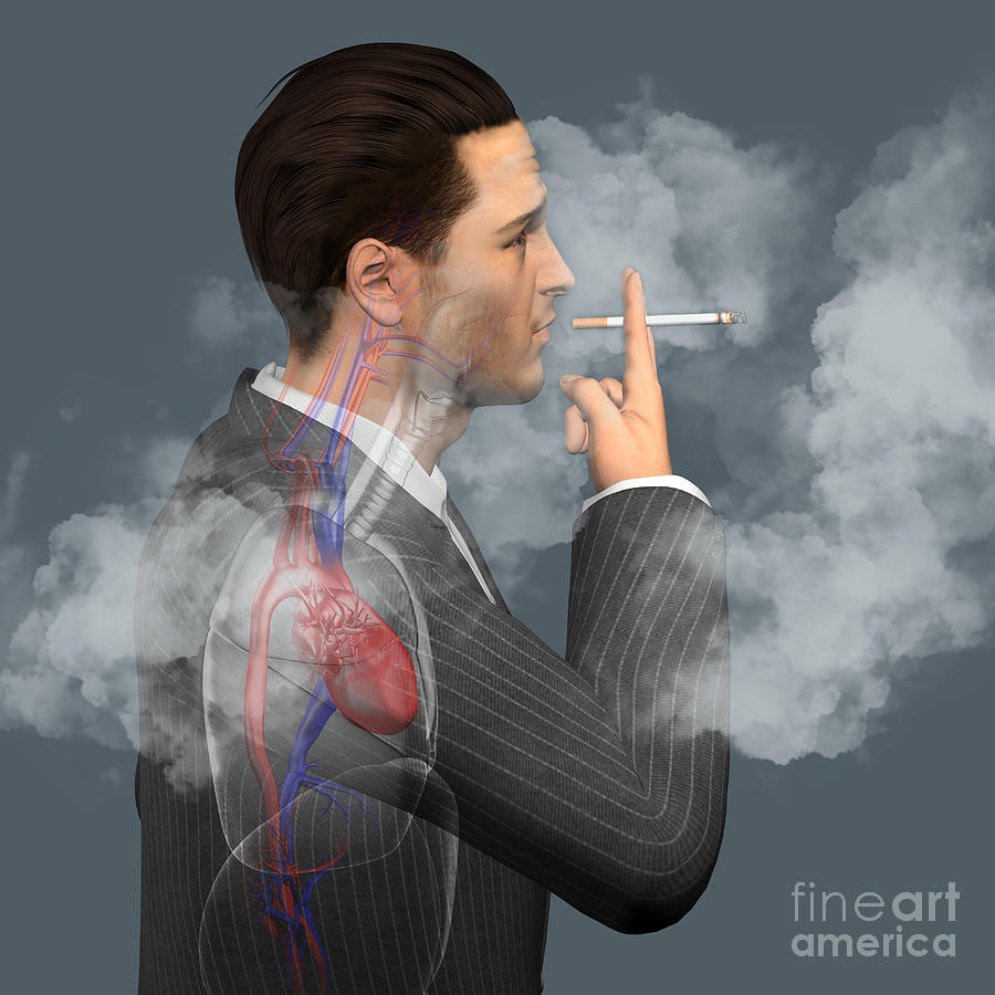 Man Smoking Cigarettes #12 Photograph by Fernando Da Cunha/science Photo Library