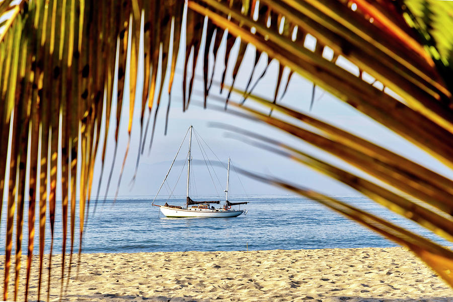 Mexico, Nayarit, Beach Scene At La Manzanilla Beach #12 Digital Art by Claudia Uripos