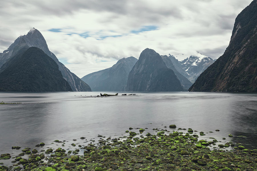 Milford Sound Photograph - Milford Sound - New Zealand #12 by Joana Kruse