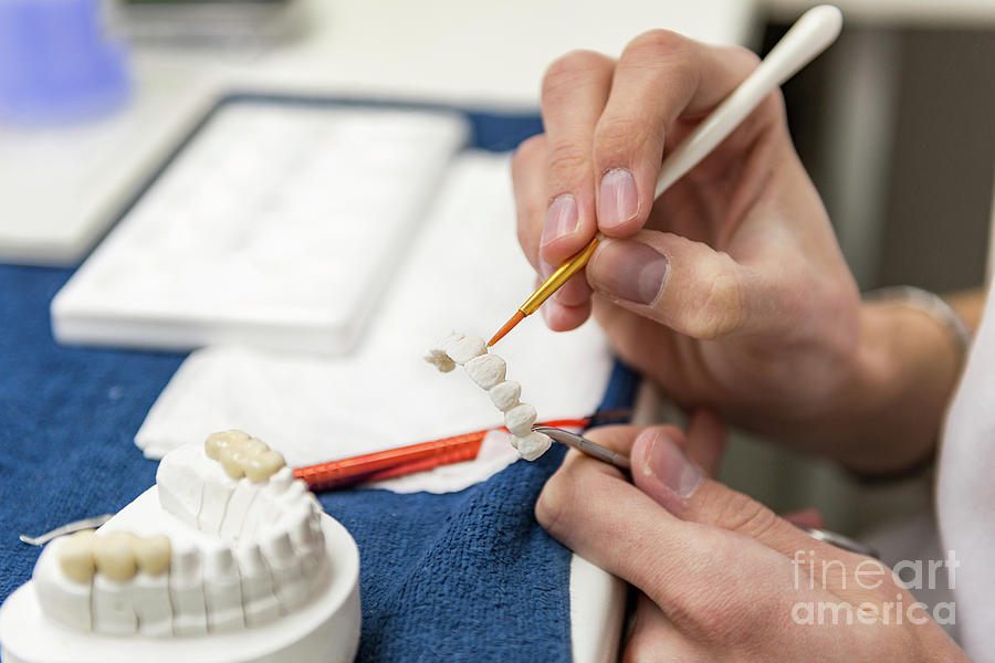 Prosthetic Dentistry Technician At Work Photograph by Microgen Images