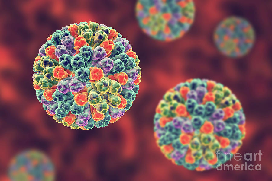 Rotavirus Particle Photograph By Kateryna Konscience Photo Library Pixels