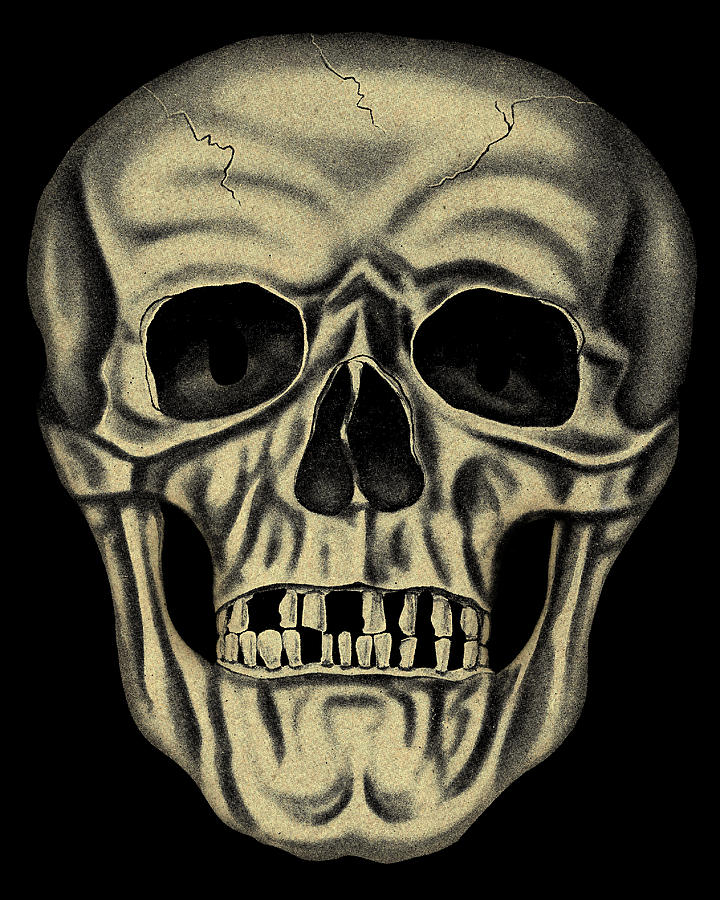 Halloween Drawing - Skull #12 by CSA Images