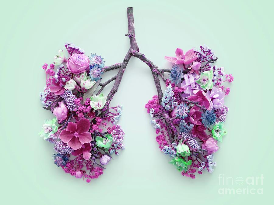 Spring Flowers Representing Human Lungs #12 Photograph by Science Photo Library