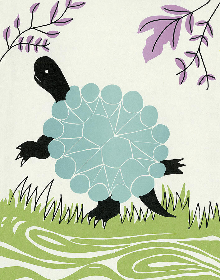 Nature Drawing - Turtle #12 by CSA Images