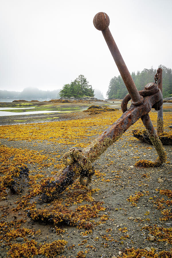Beach Photograph - USA, Alaska, Sitka #12 by Jaynes Gallery