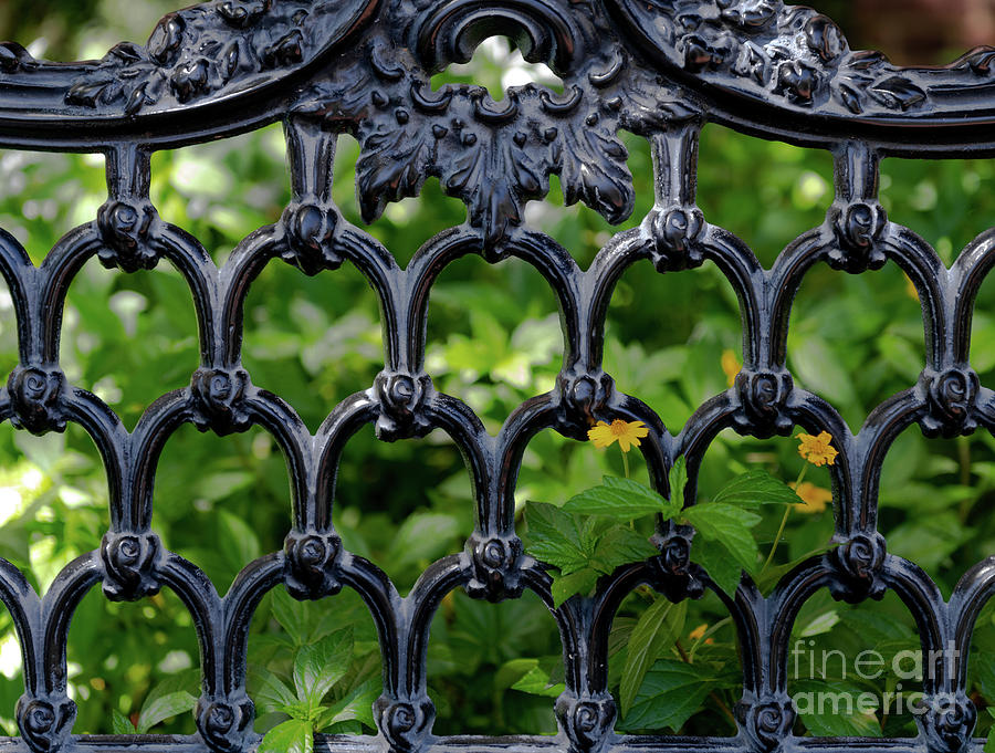 Flower Photograph - Old School Iron Gardens by Dale Powell