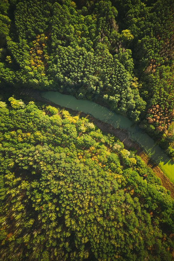 Summer Photograph - Aerial View Green Forest Woods #13 by Ryhor Bruyeu