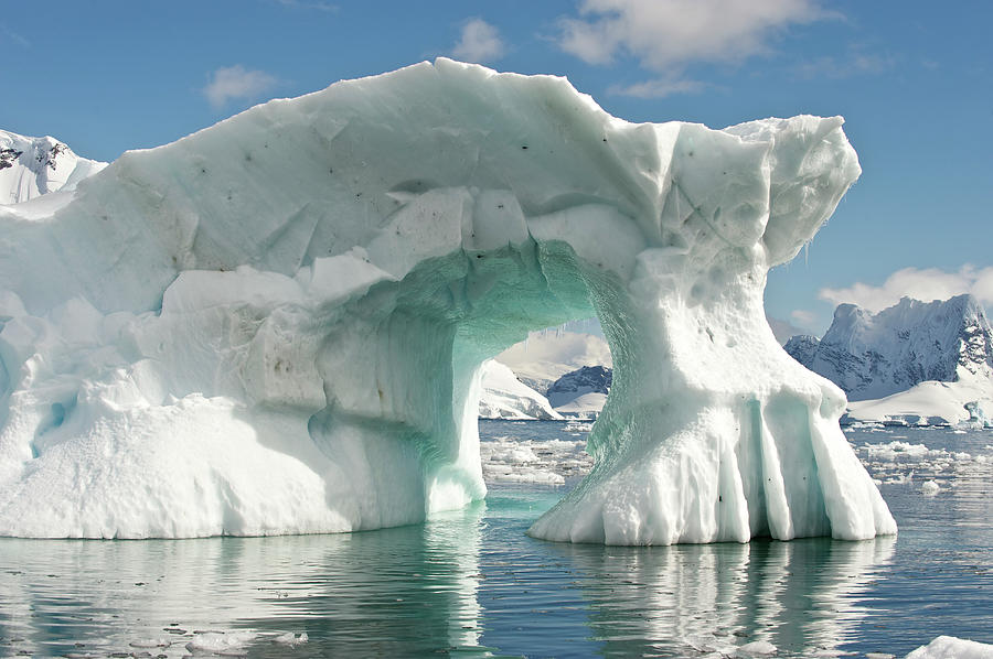 Antarctic Peninsula, Antarctica Photograph by Enrique R. Aguirre Aves Antarctic Peninsula, Antarctica Photograph by Enrique R. Aguirre Aves