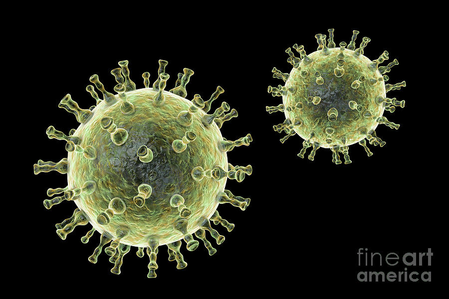 Chickenpox Virus #13 Photograph by Kateryna Kon/science Photo Library