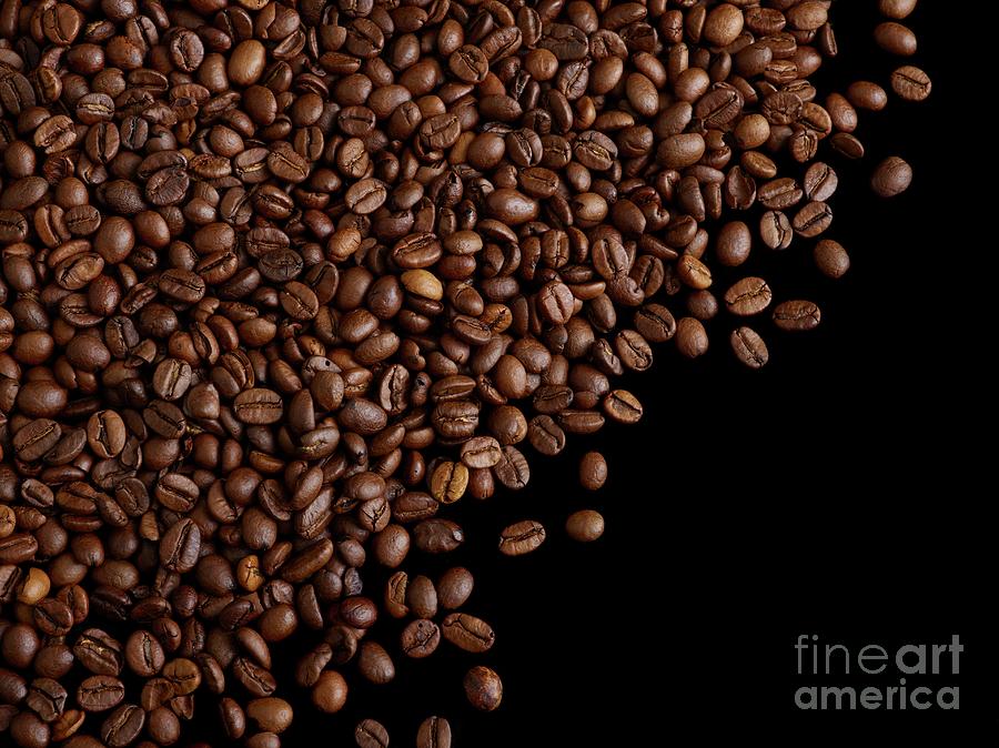 Coffee Beans #13 Photograph by Science Photo Library