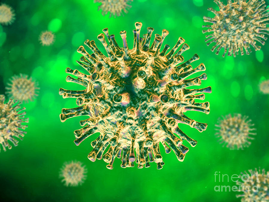 Coronavirus #13 Photograph by Leonello Calvetti/science Photo Library