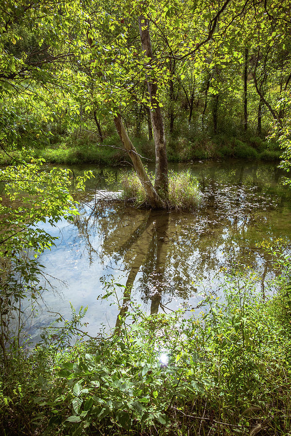 Dents Run Photograph by Steve Konya II - Fine Art America