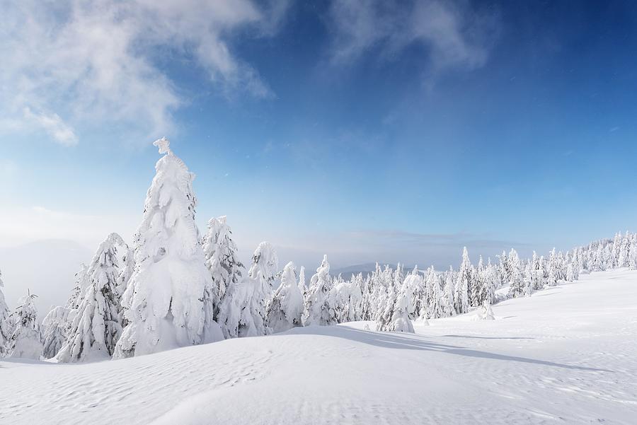 Winter Photograph - Fantastic Winter Landscape With Snowy #13 by Ivan Kmit
