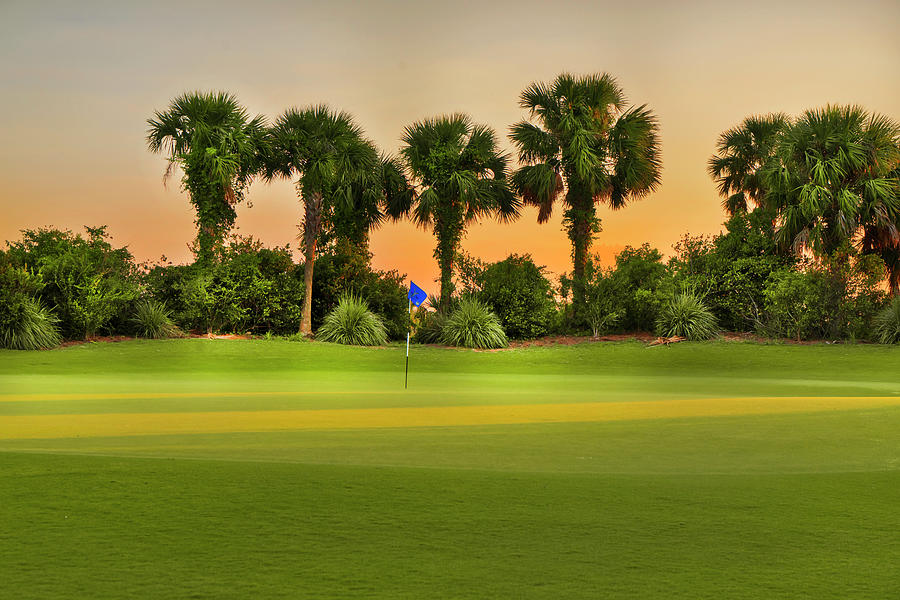 Golf Course In Boca Raton Florida #13 Digital Art by Laura Zeid