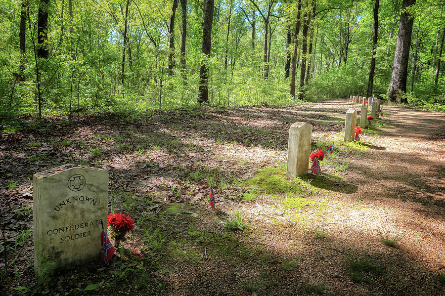 13 Graves  Photograph by Susan Rissi Tregoning