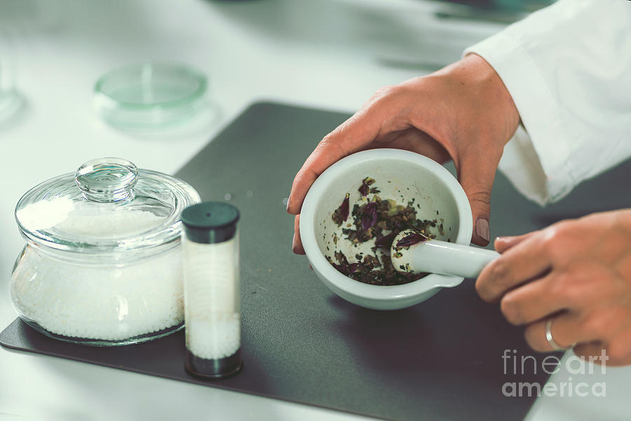Nature Photograph - Homeopath Preparing Herbal Remedies #13 by Microgen Images/science Photo Library