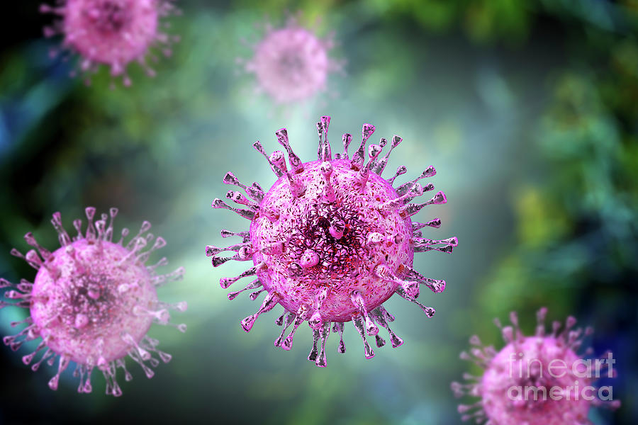 Human Cytomegalovirus Photograph by Kateryna Kon/science Photo Library