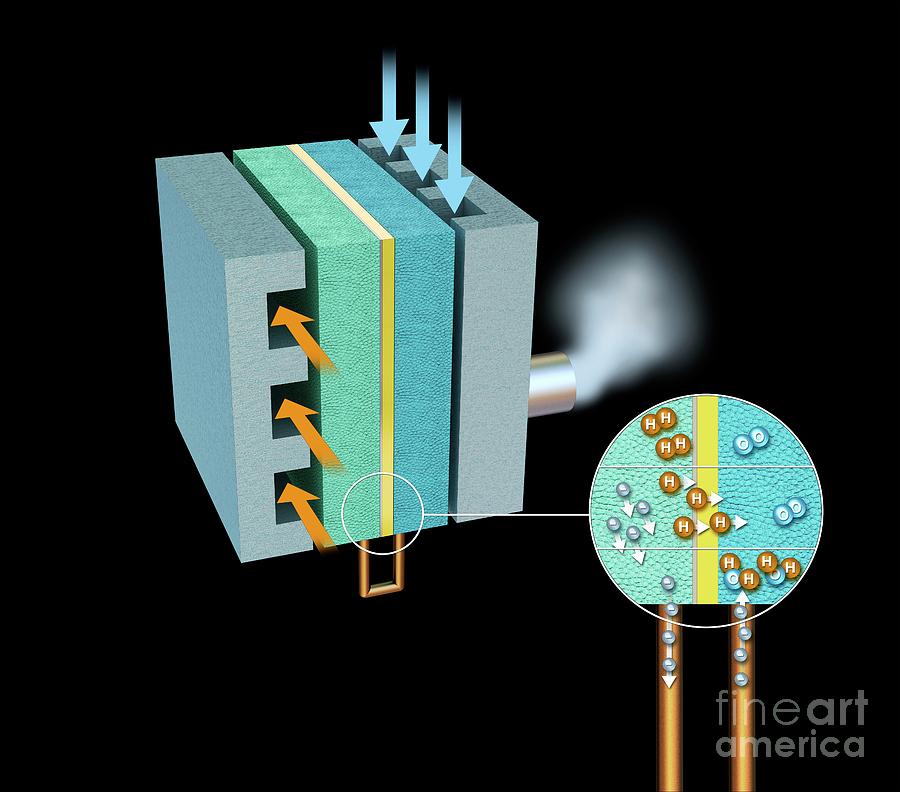 Illustration Photograph - Hydrogen Fuel Cell #13 by Mikkel Juul Jensen / Science Photo Library