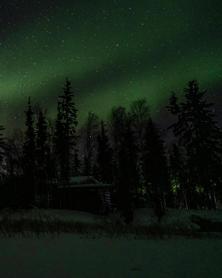 Northern Lights #13 Photograph by Laura Hedien