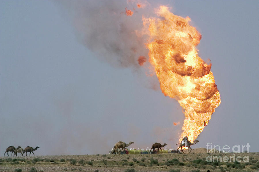 Wildlife Photograph - Oil Well Fire #13 by Peter Menzel/science Photo Library