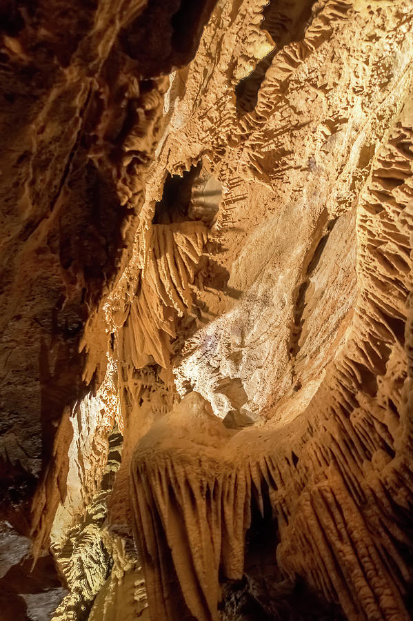 Pathway underground cave in forbidden cavers near sevierville te #13 Photograph by Alex Grichenko