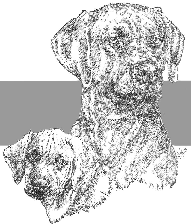 Rhodesian Ridgeback and Pup Drawing by Barbara Keith