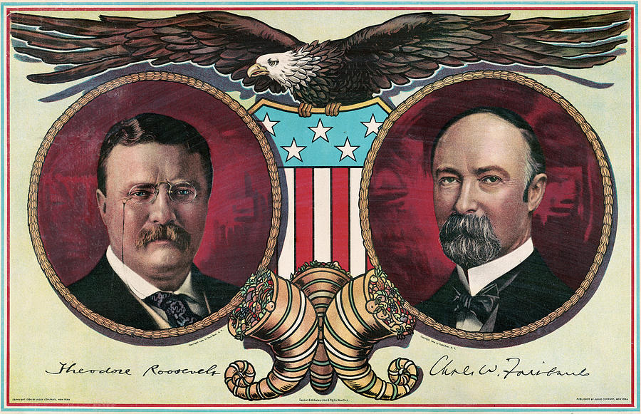 Presidential Campaign, 1904 #14 Drawing by Granger
